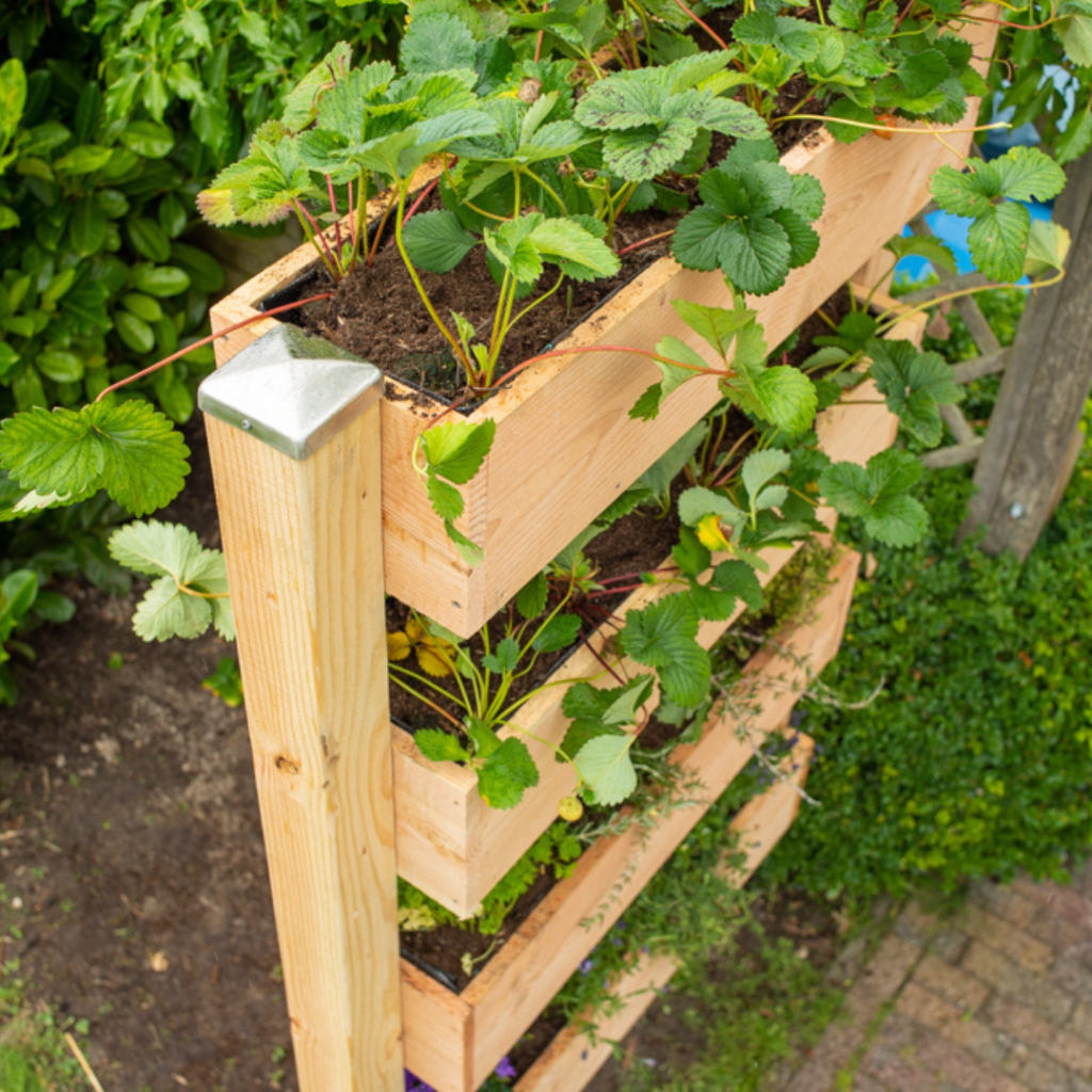 Douglas Fijnbezaagde Plank 2 2 X 25 Cm douglas-fijnbezaagde-plank-2-2-x-25-cm