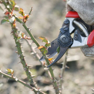 Tuin klaarmaken voor het voorjaar!