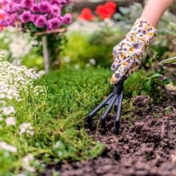 Tuin klaarmaken voor het voorjaar!