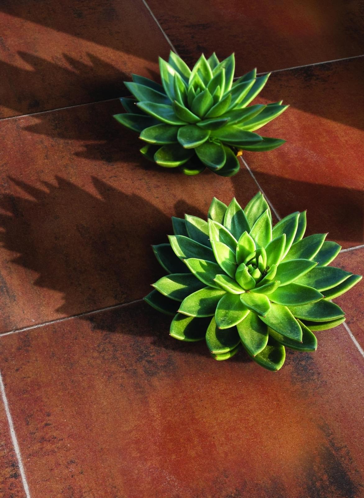 TerrasTegel+ 60 x 60 x 4 cm Summer per m2 - Afbeelding 7