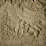 Speelzand Premium 0 - 0,5 mm / 20 kg