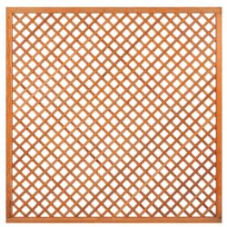 Trellis met lijst, diagonale lamellen hardhout kunstmatig gedroogd H180 x B180 cm