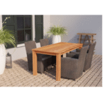 Tuintafel Teak 300 x 100 cm