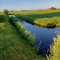Wietse Nooij project prolock walbeschoeiing