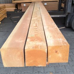 Restpartij Douglas Palen 20 x 20 x 600 cm 3 stuks