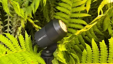 Lightpro Honeycomb Juno
