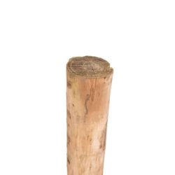 Ø10/12cm Robinia paal
