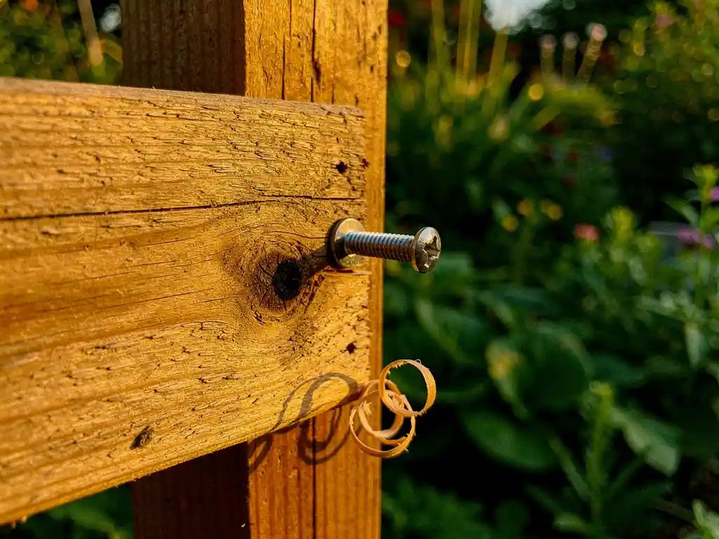 Verweerde douglas houten schutting plank vastgeschroefd aan een paal met roestvrij stalen schroef, houtkrullen aan de basis, groene tuin op de achtergrond.