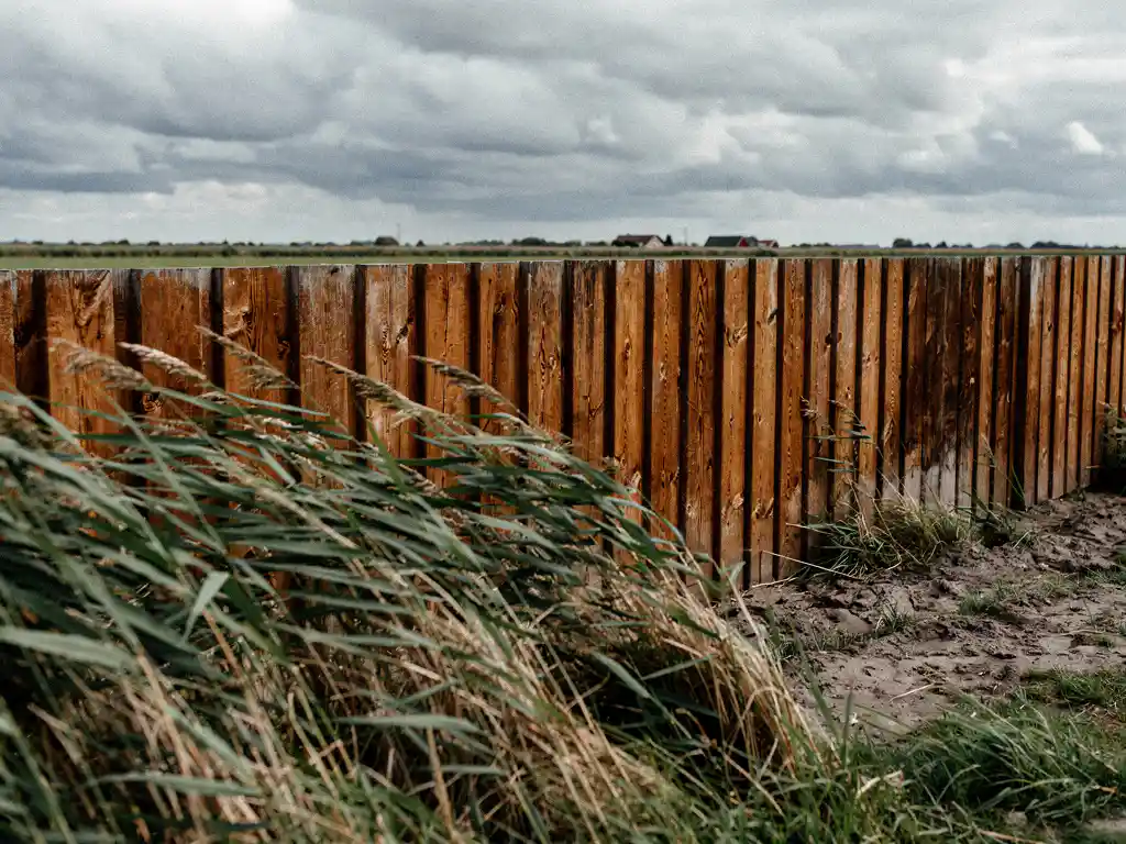 Rij verticale hardhouten damplanken in zachte grond, hoog gras waaiert in de wind langs de houten wand, Fries landschap op de achtergrond.