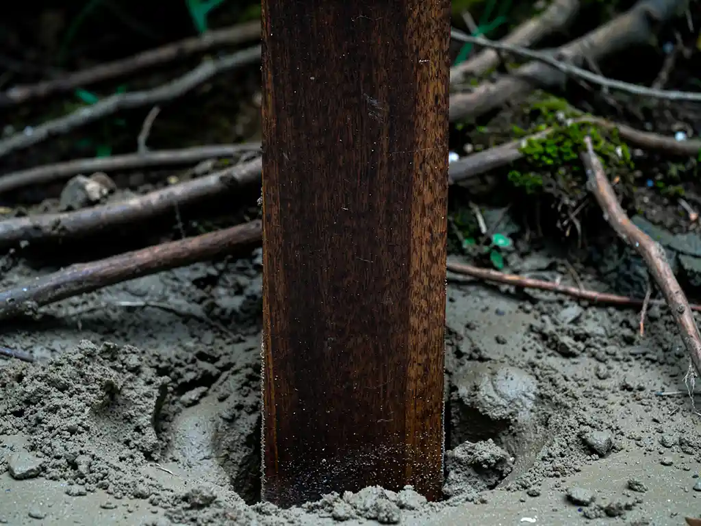 Tropische hardhout damwandplank met donkere houtnerf, gedreven in natte zandige riveroever omgeven door vochtige aarde en boomwortels.